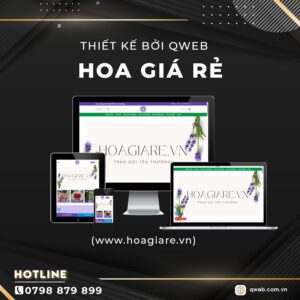 Website Hoagiare.vn